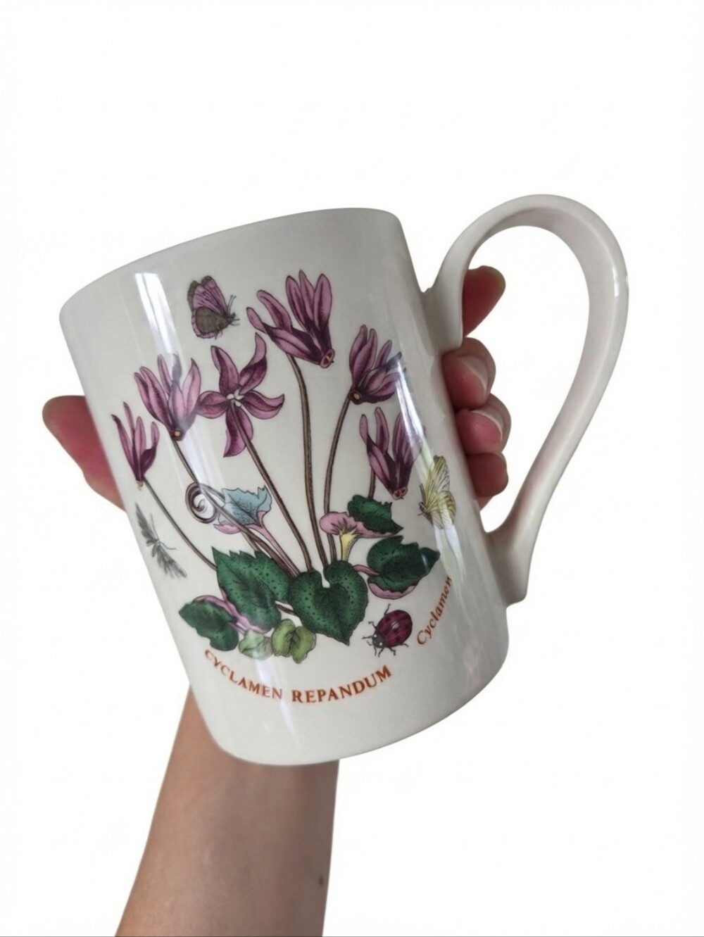 Vintage Portmeirion Botanic Garden Cyclamen Repandum Mug Made in England Susan W
